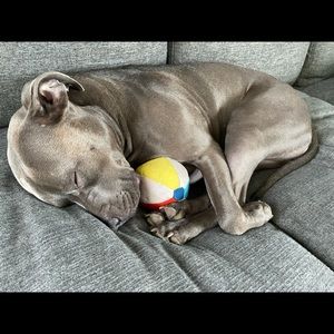 Meet your Posher, Lisa